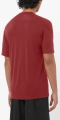 Koszulka Salomon Ultra All Day-All Mountain Tee M Merino Syrah C27897