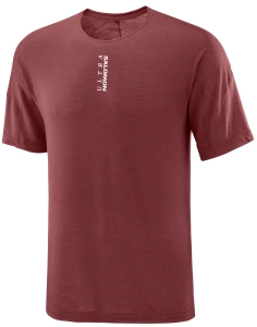 Koszulka Salomon Ultra All Day-All Mountain Tee M Merino Syrah C27897