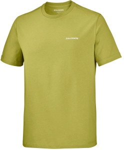 Koszulka Salomon Chest Logo Regular TEE M Cardamon Seed C28350