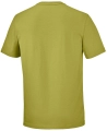 Koszulka Salomon Chest Logo Regular TEE M Cardamon Seed C28350