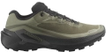 Buty Salomon Genesis 2 GTX Grape Leaf/Black/Deep Lichen Green 493019