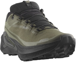 Buty Salomon Genesis 2 GTX Grape Leaf/Black/Deep Lichen Green 493019