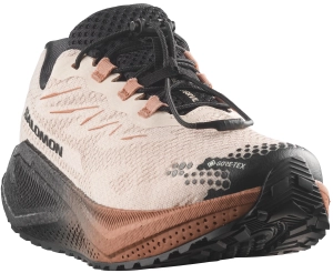 Buty Salomon Aero Blaze 4 GRVL GTX W Vanilla Ice/Black/Burro 454039