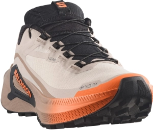 Buty Salomon Genesis 2 GTX Gore-Tex W Rainy Day/Desert Tan/Nectarine 453882