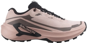 Buty Salomon Genesis 2 GTX Gore-Tex W Shadow Gray/Iron/Black 453883