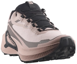 Buty Salomon Genesis 2 GTX Gore-Tex W Shadow Gray/Iron/Black 453883
