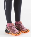 Buty Salomon Speedcross 6 GTX Gore-Tex W Dusky Orchid/Huckleberry 491980