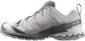 Buty Salomon XA Pro 3D V9 GTX Gore-Tex Alloy/Castlerock/Lunar Rock 491991