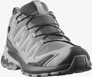 Buty Salomon XA Pro 3D V9 GTX Gore-Tex Alloy/Castlerock/Lunar Rock 491991