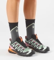 Buty Salomon XA Pro 3D V9 GTX W Bog/Aloe/Concord Grape 454867
