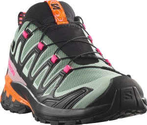 Buty Salomon XA Pro 3D V9 GTX W Bog/Aloe/Concord Grape 454867