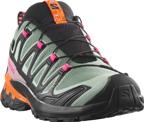 Buty Salomon XA Pro 3D V9 GTX W Bog/Aloe/Concord Grape 454867