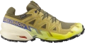 Buty Salomon Speedcross 6 GTX Grape Leaf/Aspargus Green/Acid Lime 479856