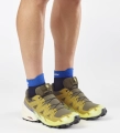 Buty Salomon Speedcross 6 GTX Grape Leaf/Aspargus Green/Acid Lime 479856
