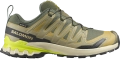 Buty Salomon XA Pro 3D V9 GTX Grape Leaf/Aloe/Acid Lime 492295