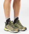 Buty Salomon XA Pro 3D V9 GTX Grape Leaf/Aloe/Acid Lime 492295