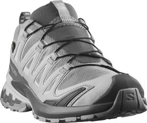 Buty Salomon XA Pro 3D V9 GTX W Alloy/Castlerock/Lunar Rock 454120