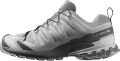 Buty Salomon XA Pro 3D V9 GTX W Alloy/Castlerock/Lunar Rock 454120