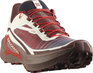Buty Salomon Genesis 2 Vanilla Ice/Iron/Lava Falls 454742